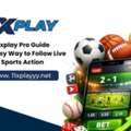 11xplay Pro Guide: The Easy Way To Follow Live Sports Action