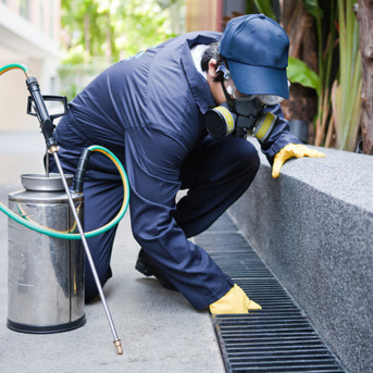 Kolkata, Business, Pest Control & Co