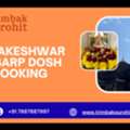 Trimbakeshwar Kaal Sarp Dosh Puja Booking By Trimbak Purohit