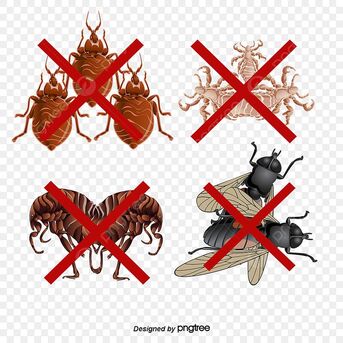 Riyadh, Pest Control, PAKISTANI🔶 Movers♤Packers♤Cleaners[]Pest Control♤Total Solution@Best Price=0545514494)81