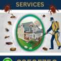Pest Control Services