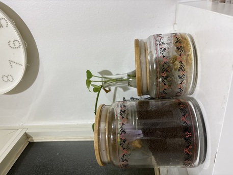 Riyadh, Household Items, SAR 1,  Kitchen Items