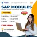 Master SAP Modules With Real-Time Training Demo