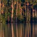 Best Sandoval Lake 3 Day Tour &ndash; Tambopata Jungle Packages | Tree House Inn
