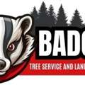 Badger Tree Service And Land Clearing LLC