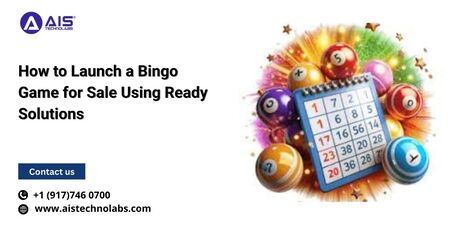 New York, Software Development, How To Launch A Bingo Game For Sale Using Ready Solutions