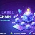 Start Your Own Blockchain Business With White Label Blockchain Development - 30% Off