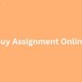 How To Buy Assignment Online Without Stress