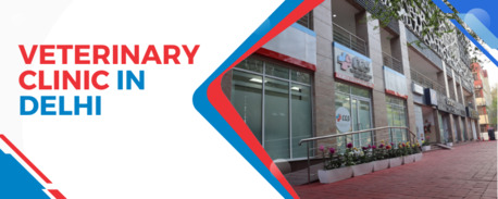 New Delhi, Health, Veterinary Clinic In Delhi | CGS Hospital Sarojini Nagar