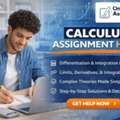 Master Derivatives And Integrals With Calculus Experts