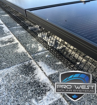 Edmonton, Construction, Need Solar Panel Installation In Edmonton? Save Energy And Money Now