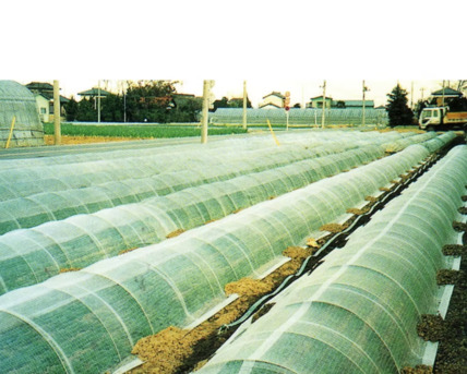 New York, Farm & Garden, Crop Row Covers For Protection, Growth Enhancement, And Higher Yields