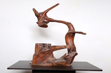 Mumbai, Collectibles, INR 100000,  Rare Traditional Antique Items For Urgent Sale