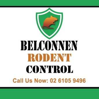 Sydney, Business, Belconnen Rodent Control