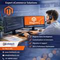 AFN 100,  Hire Magento Developers In India | 24infotech ECommerce Experts