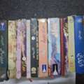 SAR 500,  Urdu Novels