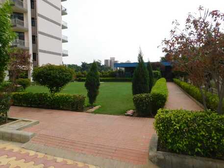 Gurgaon, Apartments/Houses, 4999/month,  Furnished,  3 BR,  1650 Sq. Meter,  APNA PG