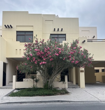 Riffa Views, Villas, BHD 750,  600 Sq. Meter,  Luxury Villa For Rent In Riffa Views