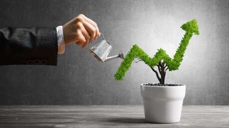 Muscat, Business Partners, I Have An Investor Looking For Business Investment Partner