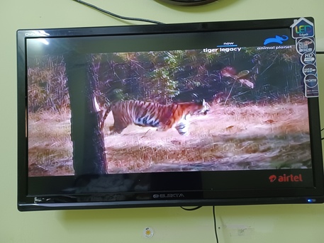 Riyadh, Electronics, SAR 175,  Electa Television