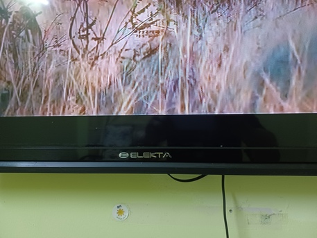 Riyadh, Electronics, SAR 175,  Electa Television