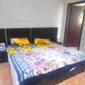 SAR 1600/month,  Furnished Room Available For Executive Bachelor
