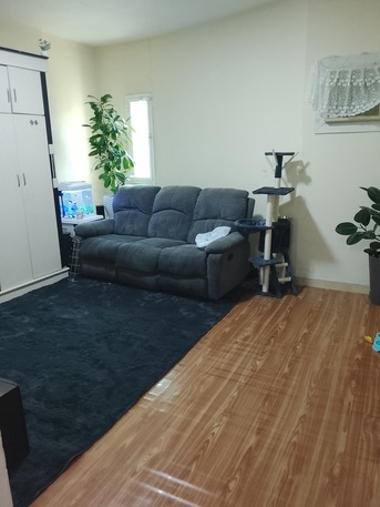 Al Murabba, Apts/Flats Wanted, SAR 4100/month,  Furnished,  3 BR,  Fully Furnished 3BHK