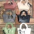 AFN 350,  Woman Bags