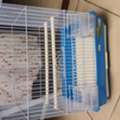 SAR 35,  2 Cages Available Each Price 35sar