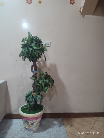 Hofuf, Household Items, SAR 245,  Multiple Household Items For Sale &ndash; Rug, Mattresses, & Decor (Urgent Sale)