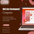Web Design Company In Zinavo | Web Development Company New York City