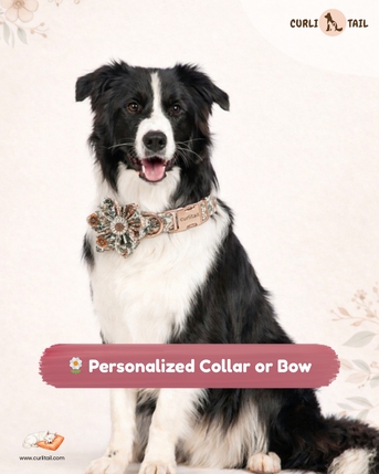 San Francisco, Pet Supplies, USD 28,  Stylish Custom Personalized PU Leather Dog Collar & Floral Flower Collars