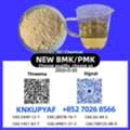 EUR 90,  Bulk Stock 28578-16-7 P.M.K CAS 5449-12-7 New B..M.K Powder Oil