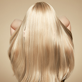 New York, Business, Online European Hair Extensions Course