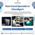 Root Canal Specialist In Chandigarh | Sector 15-C, Chandigarh