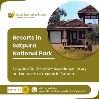Bhopal, Travel, Premium Resorts In Satpura National Park For A Luxury Stay