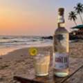 Feni Experience In Goa