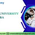 Bennett University Online MBA Program