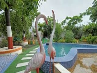 Mumbai, Business, Resort Near Trimbakeshwar Temple &ndash; Relaxing Stay At Green Paradise