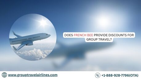 New York, Travel, Does French Bee Provide Discounts For Group Travel?