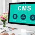 CMS Website Development Company India Solutions By Matrix Bricks India