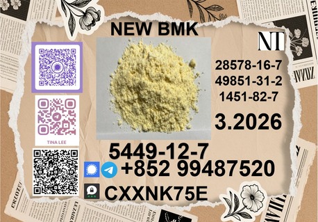 Tirana, Artists, Best Sale B.MK Ethyl Glycidate CAS 5449-12-7 Good Effect