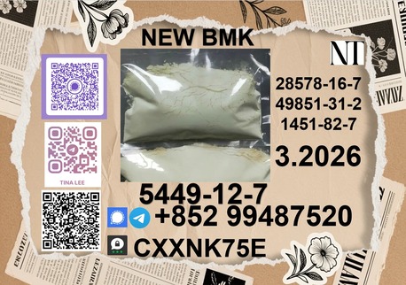 Tirana, Artists, Best Sale B.MK Ethyl Glycidate CAS 5449-12-7 Good Effect
