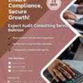 AUDIT SERVICES