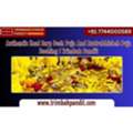 Authentic Kaal Sarp Dosh Puja And Rudrabhishek Puja Booking | Trimbak Pandit