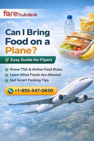 New York, Travel, Can I Bring Food On A Plane? Easy Guide For Flyers