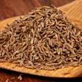Cumin Seeds Suppliers In Karnataka