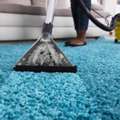 Professional Carpet Cleaning  Same Day Service