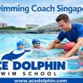 Swim Coaching Singapore Pros In Training Professionals