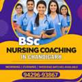 Best BSc Nursing Coaching In Chandigarh For Entrance Exams